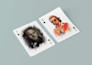 design playing cards, poker deck, and card game art